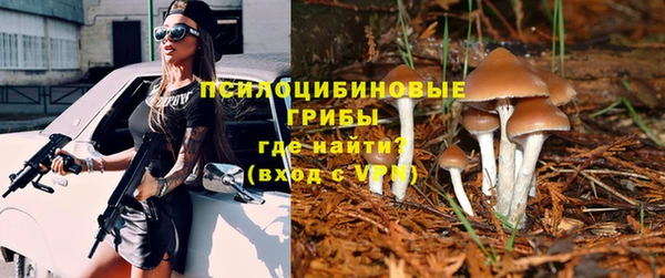 jwh Арсеньев